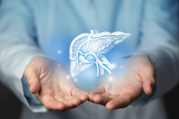 Liver issues medical concept. Photo of female doctor, empty space.